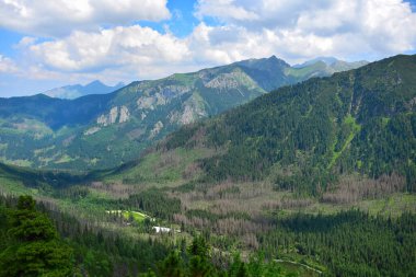 Morskie Oko Gölü yakınlarındaki High Tatras 'ta manzara. Bir vadi ve dağlar. Bazı ağaçlar ölmüş. Slovakya - Polonya.