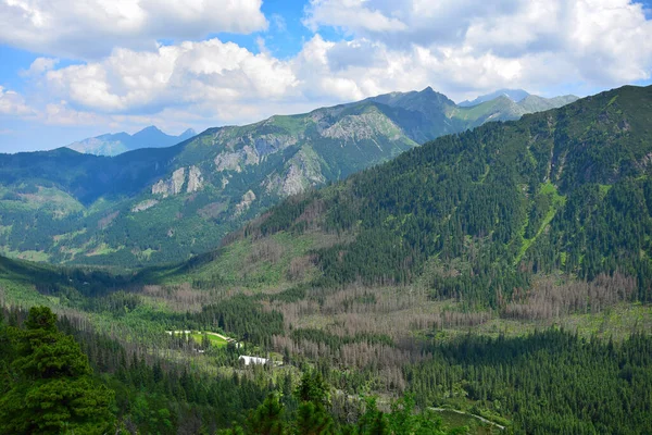 Paysage Dans Les Hautes Tatras Près Lac Morskie Oko Une — Photo