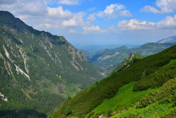 Paysage Dans Les Hautes Tatras Vallée Dolina Roztoki Les Montagnes — Photo