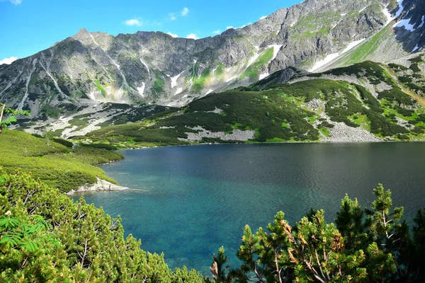 波兰塔特拉山上美丽的Wielki Staw湖 山在湖中倒映着 — 图库照片