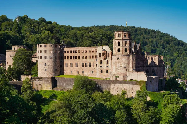 Słynny Zamek Heidelberg Niemcy Las Góry Koenigstuhl Tle — Zdjęcie stockowe