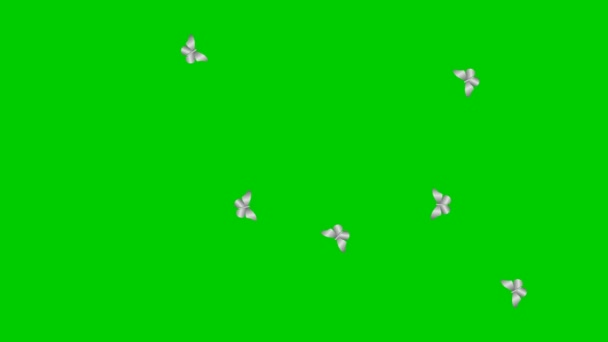 Анимационные Серебряные Бабочки Летают Векторная Иллюстрация Изолирована Зеленом Фоне — стоковое видео