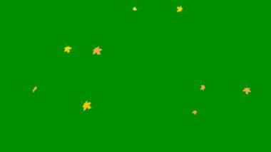 Renkli sonbahar yapraklarıyla canlandırılmış arka plan. Sonbahar yaprakları dökülüyor. Düşüyor. Yeşil arkaplanda izole edilmiş vektör düz illüstrasyon.