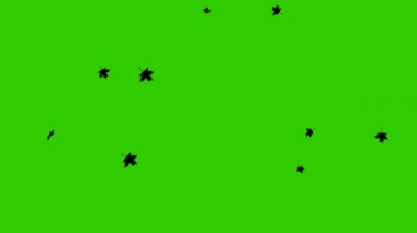 Siyah sonbahar yapraklı animasyon arka plan. Sonbahar yaprakları dökülüyor. Düşüyor. Yeşil arkaplanda izole edilmiş vektör düz illüstrasyon.