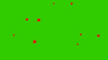 Kırmızı sonbahar yapraklı animasyon arka plan. Sonbahar yaprakları dökülüyor. Düşüyor. Yeşil arkaplanda izole edilmiş vektör düz illüstrasyon.