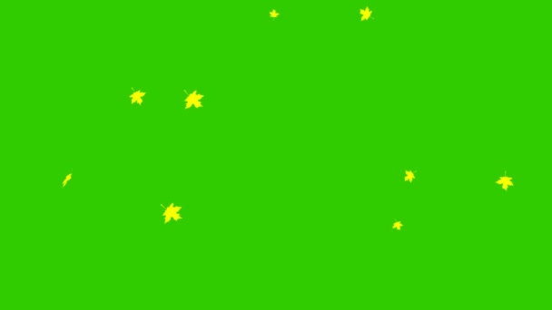 带有黄色秋天叶子的动画背景 秋叶飘落 它要掉了在绿色背景上孤立的矢量平面插图 — 图库视频影像