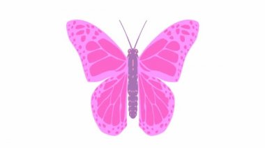 Animasyon pembe kelebek kanatları. Döngülü video. Düz vektör çizimi beyaz arkaplanda izole edildi.
