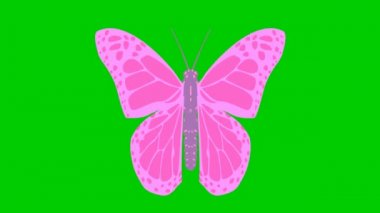 Animasyon pembe kelebek kanatları. Döngülü video. Düz vektör çizimi yeşil arkaplanda izole edildi.