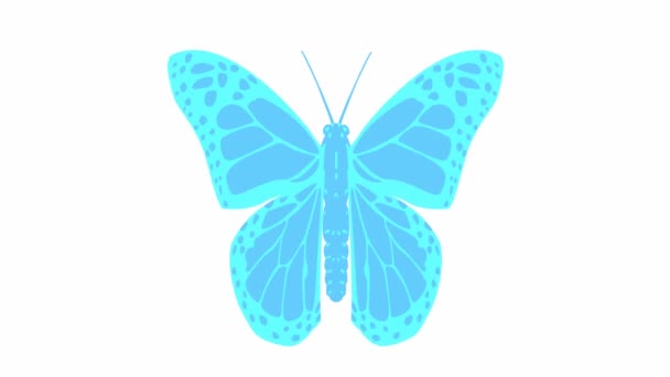 Animated Blue Butterfly Flaps Looped Video Flat Vector Illustration Isolated — Vídeo de Stock