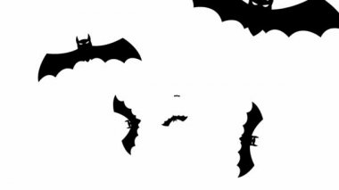 Animasyon siyah yarasalar ekranın merkezinden uçar. Döngülü video. Cadılar Bayramı kavramı, Kara Cuma. Beyaz arkaplanda izole edilmiş vektör illüstrasyonu.