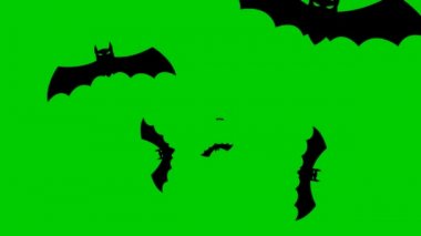 Animasyon siyah yarasalar ekranın merkezinden uçar. Döngülü video. Cadılar Bayramı kavramı, Kara Cuma. Yeşil arkaplanda izole edilmiş vektör illüstrasyonu.