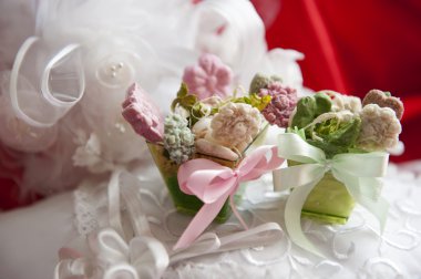 ekolojik ürün hijyen için