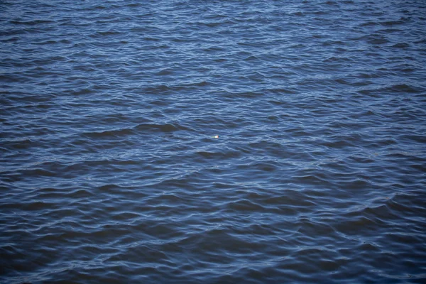 Bobine Pêche Blanche Rouge Flottant Sommet Lac — Photo