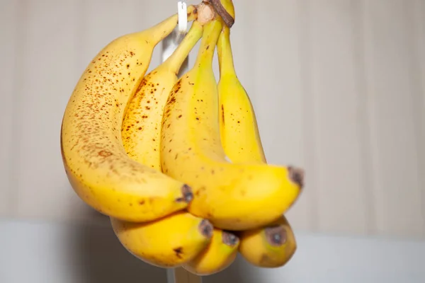 Banda Dojrzewających Bananów Zwisających Podstawki — Zdjęcie stockowe