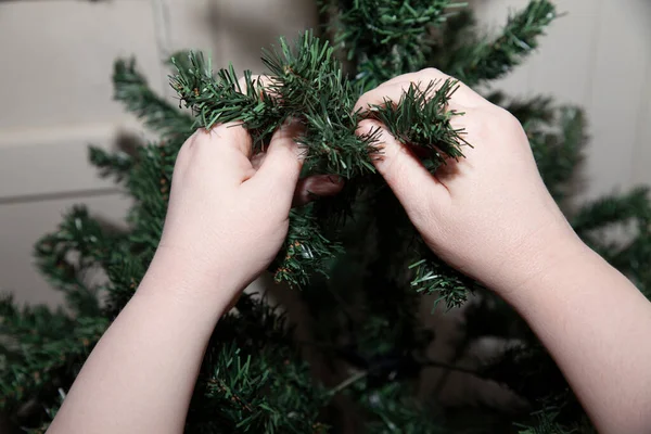 Woman Shaping Limbs Artificial Green Christmas Tree — Stock Photo, Image