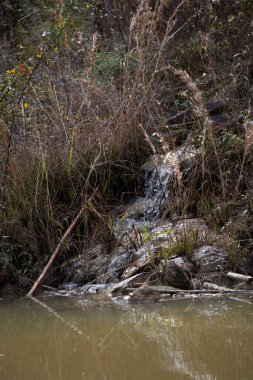 Kayalık bir şelale tepeden aşağı, yaprakların arasından bir gölete.