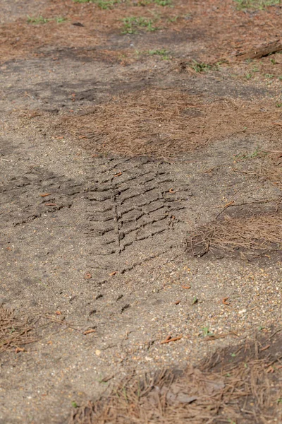 Kalın Lastik Izleri Gevşek Paketlenmiş Çamurda — Stok fotoğraf