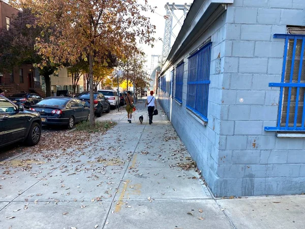Brooklyn, New York, ABD - 9 Ocak 2021: 6. Cadde ve Wythe caddesindeki kaldırımda yürüyen iki genç adam ve bir köpek.