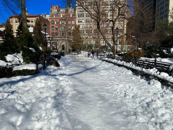 New York, New York, ABD - 8 Şubat 2021: Union Square 'de kar yolları ve bankları kapladı