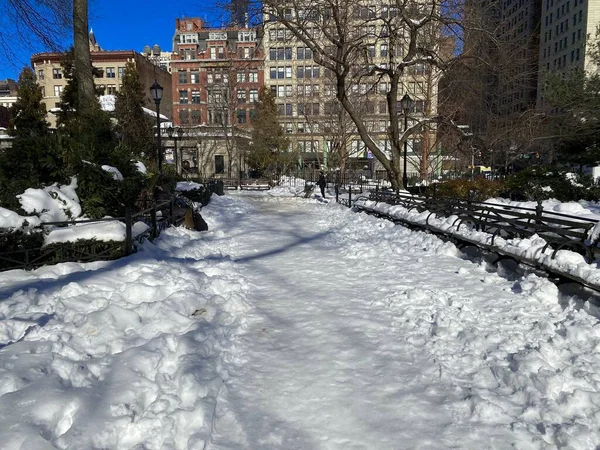 New York Usa Februar 2021 Schneebedeckte Wege Und Bänke Union Stockbild