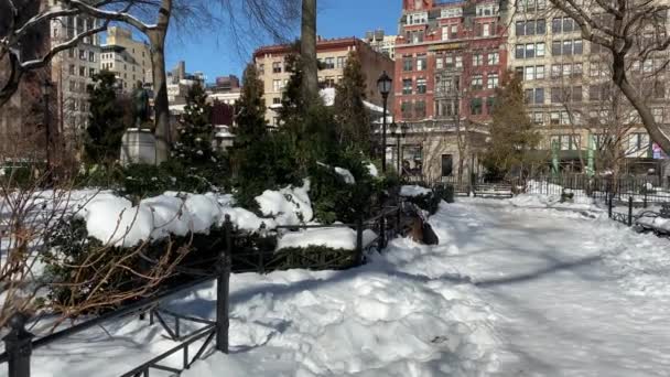 Nueva York Estados Unidos Febrero 2021 Union Square Park Soleado — Vídeo de stock