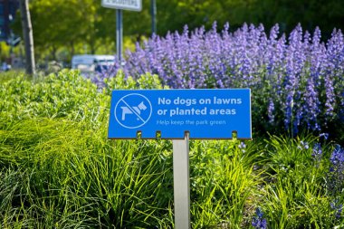 New York, New York, New York, ABD - 15 Mayıs 2021: 