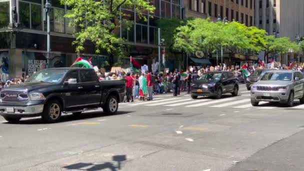 New York Usa Maj 2021 Demonstration Personer Med Palestinsk Flagg — Stockvideo