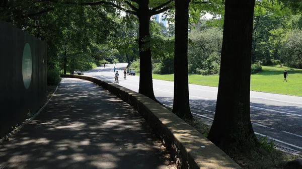 New York Usa July 2021 Bicycling Central Park Quiet Summer —  Fotos de Stock