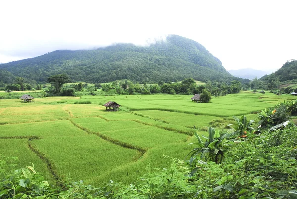 alan ülke arka planda