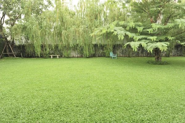 Jardín en día de lluvia — Foto de Stock