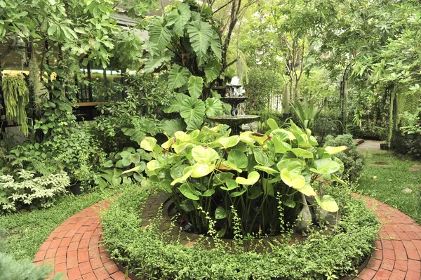 Jardín en día de lluvia — Foto de Stock