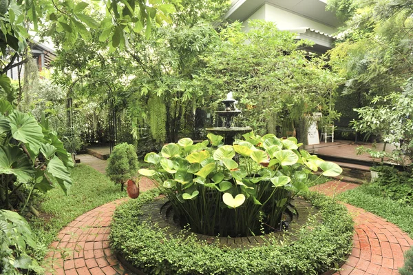 Jardín en día de lluvia —  Fotos de Stock