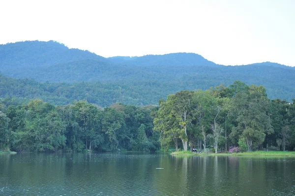 Reservoir — Stock Photo, Image