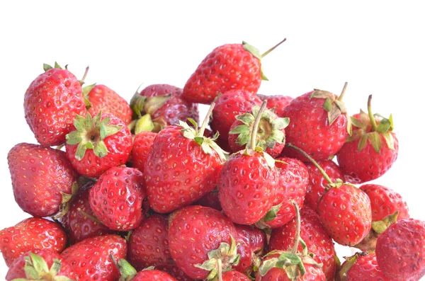 Stawberry — Stok fotoğraf