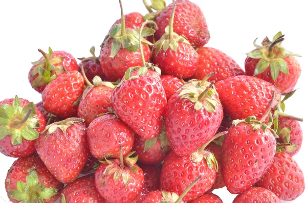 Stawberry — Stok fotoğraf