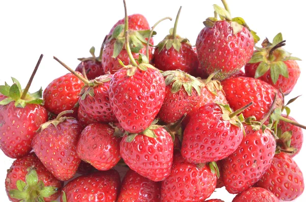 Stawberry — Stok fotoğraf