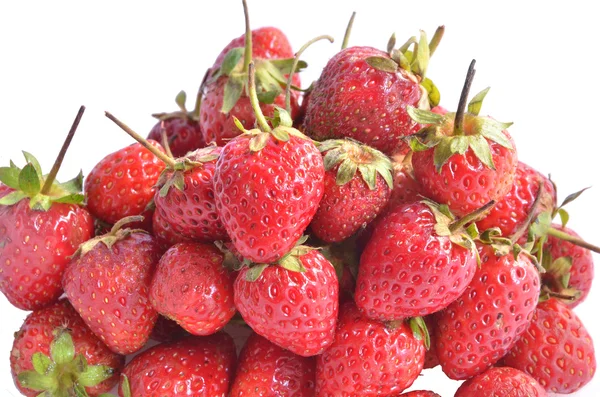 Stawberry — Stok fotoğraf