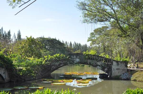 Parque —  Fotos de Stock