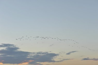 chaingkhan Eyaleti'nde loie kuzeydoğu Tayland gün batımında