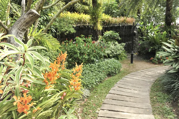 Jardín tropical paisaje al aire libre — Foto de Stock