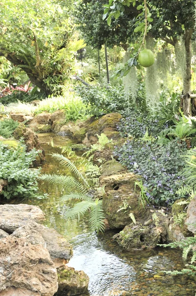Jardín tropical paisaje al aire libre — Foto de Stock