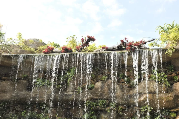 Jardín tropical paisaje al aire libre — Foto de Stock