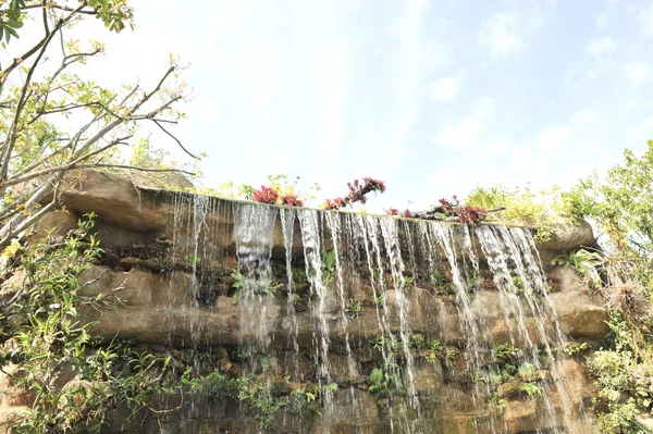 Jardín tropical paisaje al aire libre — Foto de Stock