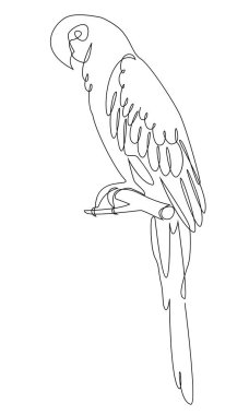Papağan oturuyor. Modern bir kuş stili. Düz çizgi, dekor taslağı, posterler, çıkartmalar, logo. Vektör illüstrasyonu.