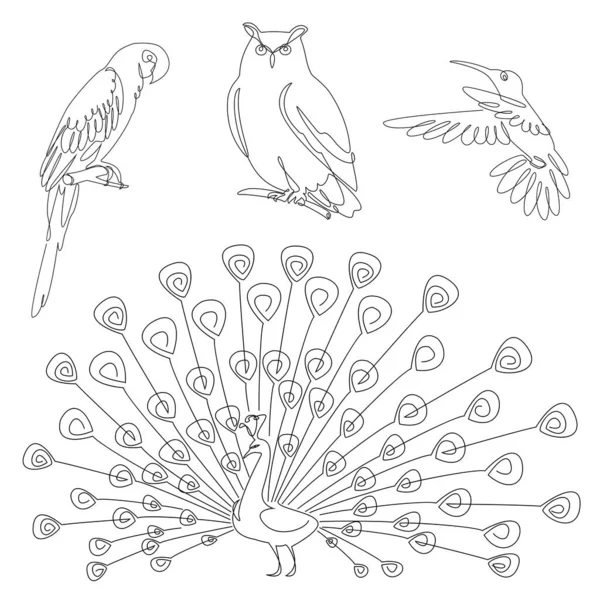 Collection of birds. Owl, peacock, parrot and hummingbird in one line modern style. Solid line, outline for decor, posters, stickers, logo. Vector illustration set.