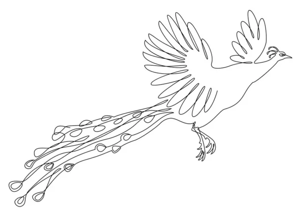 A beautiful peacock is flying. A bird with a lush tail in a modern one-line style. Solid line, outline for decor, posters, stickers, logo. Vector illustration.