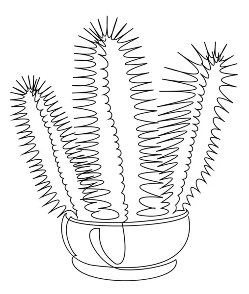 Cactus Cereus Oscuro Tres Tallos Planta Maceta Interior Estilo Moderno — Foto de Stock