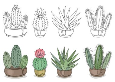 Kaktüs koleksiyonu. Modern moda tek sıra şeklinde kapalı saksı bitkisi. Grafiksel kaynak. Düz çizgi, dekor taslağı, posterler, çıkartmalar, logo. Vektör çizimleri kümesi.