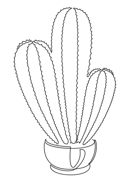 Εχινόψις Κάκτος Τριών Μίσχων Εσωτερική Γλάστρα Μοντέρνο Μοντέρνο Στυλ Μονής — Φωτογραφία Αρχείου