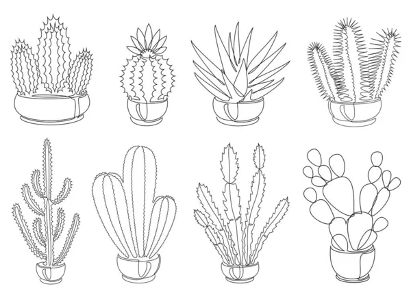 Colección Cactus Planta Maceta Interior Estilo Moderno Una Sola Línea —  Fotos de Stock